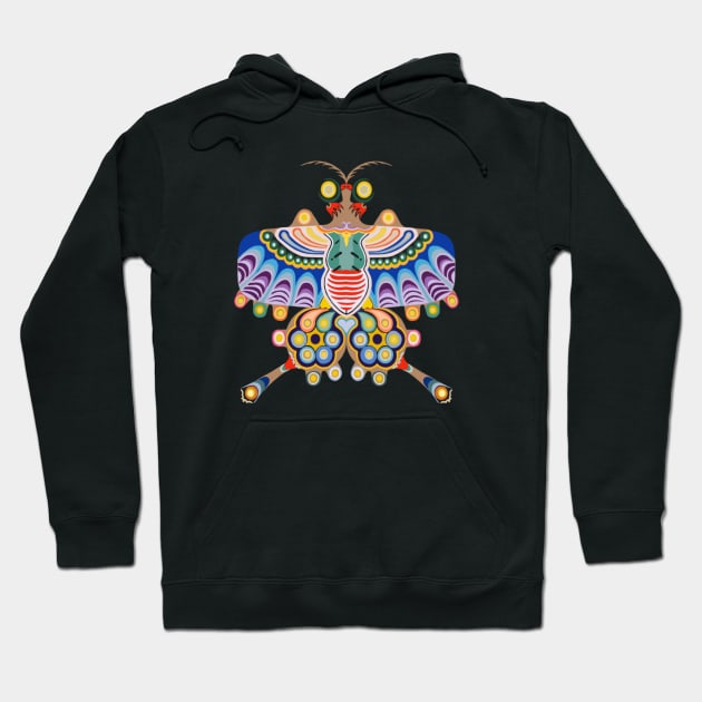 Chinese Butterfly Kite Hoodie by UsuallyUnusual